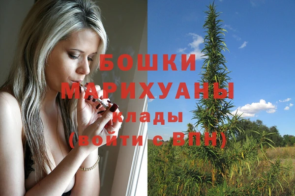 прущие грибы Белоозёрский