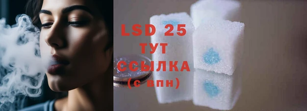 прущие грибы Белоозёрский