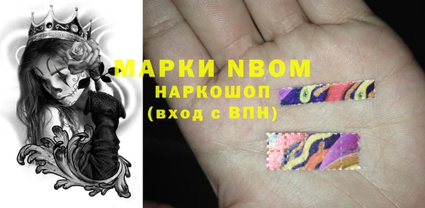 прущие грибы Белоозёрский