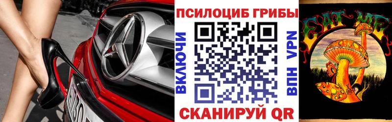 Псилоцибиновые грибы MAGIC MUSHROOMS  Купить закладки  Буй 