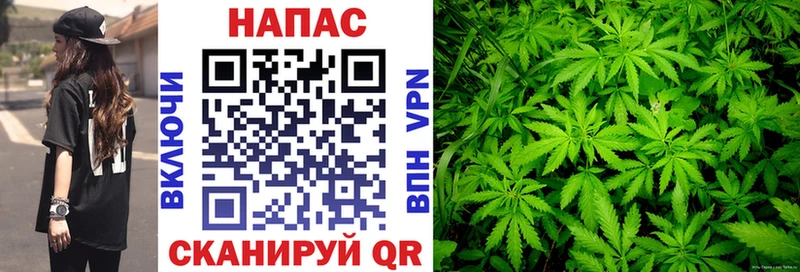 Бошки марихуана SATIVA & INDICA  Купить закладки  Буй 